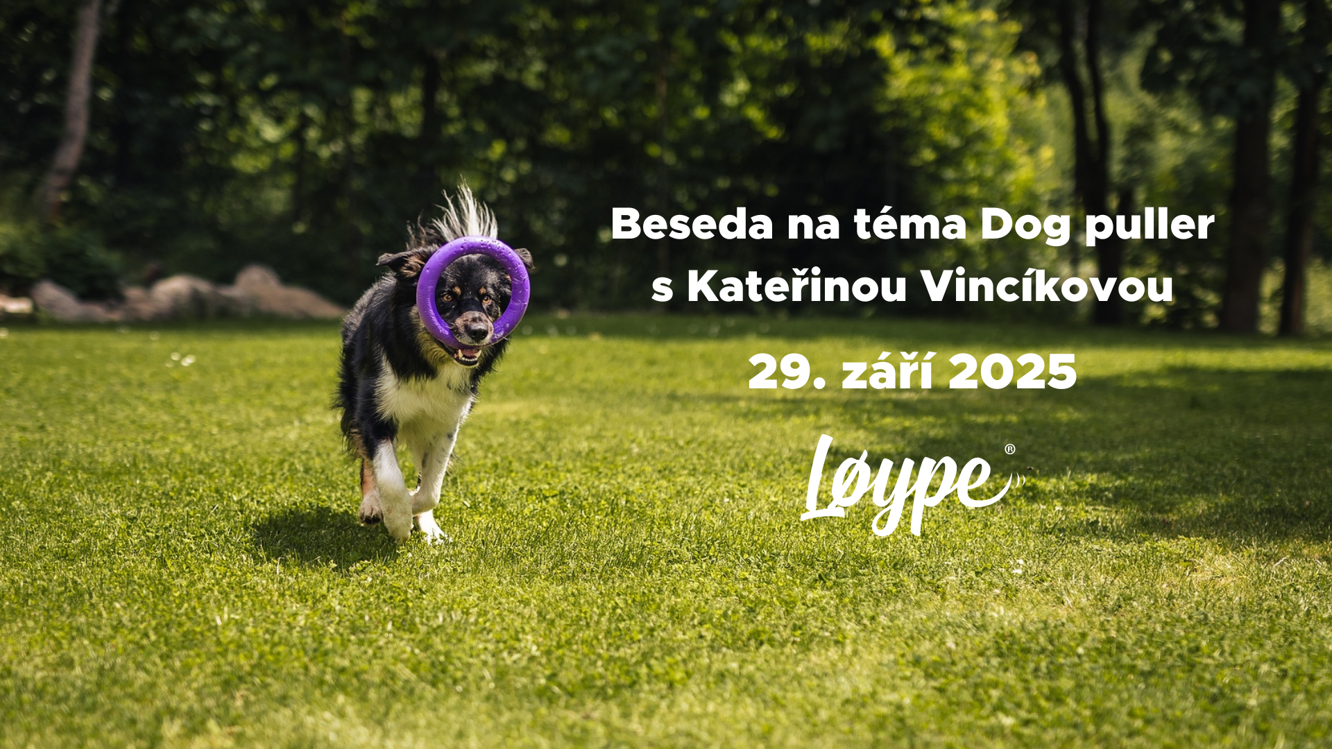 Beseda o Dog pulleru s Kateřinou Vincíkovou
