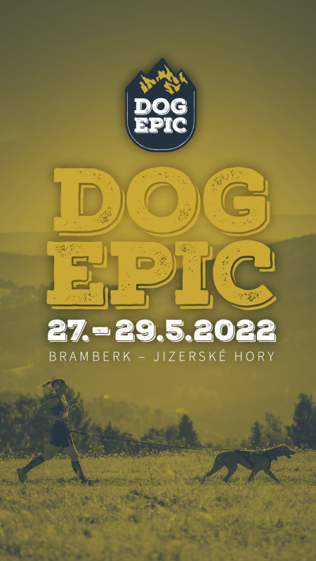 Dog Epic Race