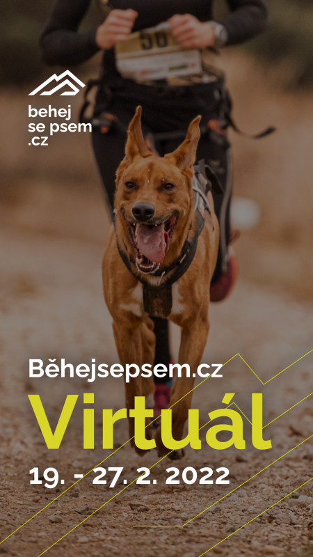 Běhejsepsem.cz Virtuál 2022