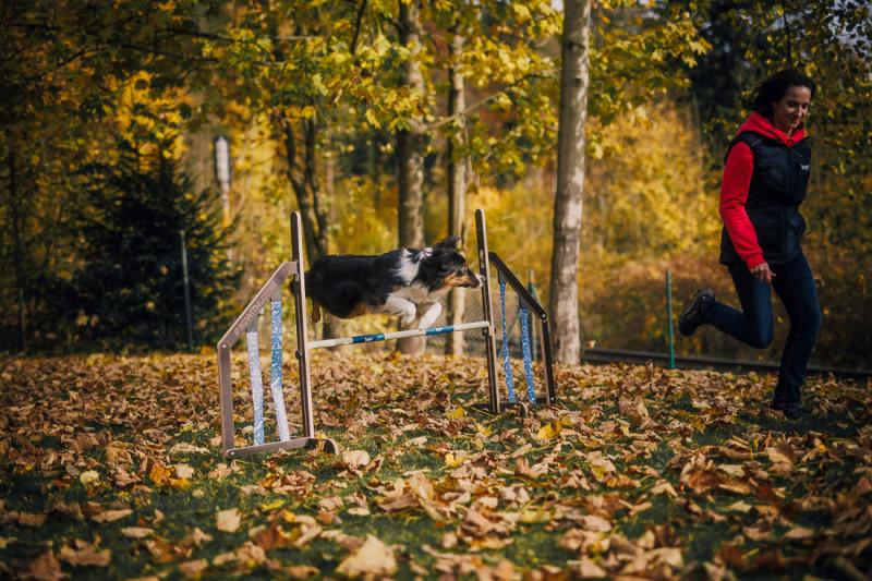 Beseda: Jak si správně hrát se psem s Kristýnou Másilkovou