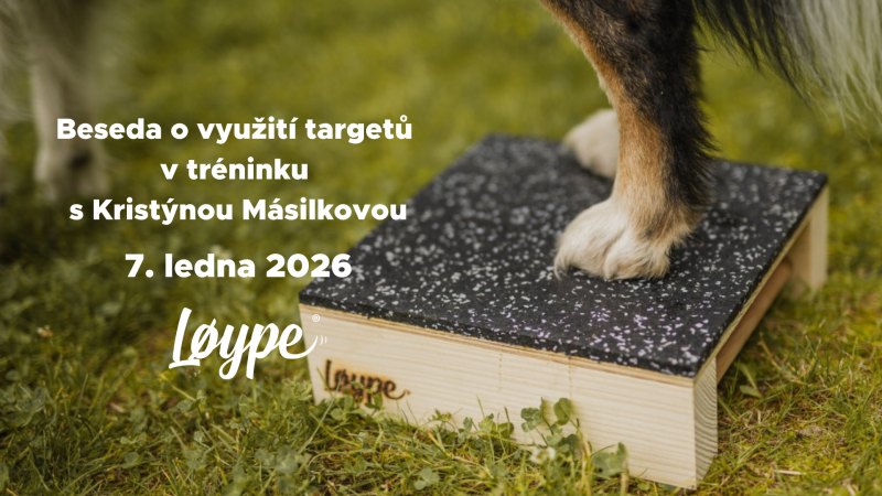 Beseda o využítí targetů v tréninku