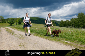 Běhejsepsem.cz