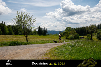 Běhejsepsem.cz