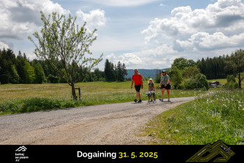 Běhejsepsem.cz