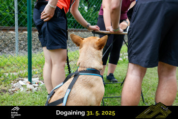 Běhejsepsem.cz