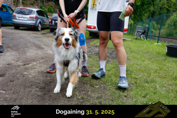 Běhejsepsem.cz