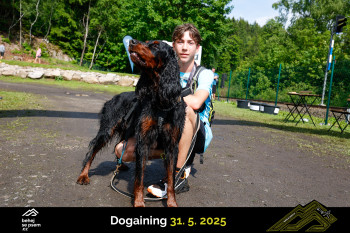 Běhejsepsem.cz